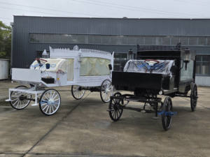 2025 blanco y negro Vintage dibujado por caballos boda turismo princesa carruaje horseless Royal carro eléctrico para la venta - Product Image 3