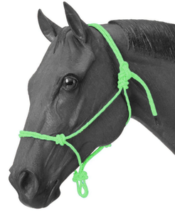 HE5600 Modèle de licol pour cheval en nylon et cuir personnalisé, avec fermoir en laiton doré SS clouté, style Western et anglais, durable et de qualité supérieure - Product Image 3