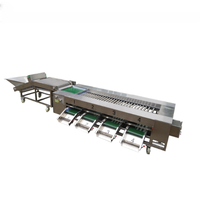 Automatische groente- en fruitwas-, droog- en sorteermachinelijn, fruitrolsorteermachine