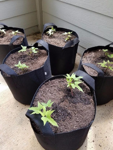 Bac de culture de légumes, pot de semis pour arbres, pot de fleurs en tissu, 100 gallons, 1 2 3 5 10 15 gal - Product Image 6