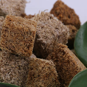 छोटे नस्लों के लिए सूखे रक्तकृमि उच्च प्रोटीन मछली भोजन पाचन स्वास्थ्य थोक थोक - Product Image 3