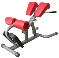 Banc d'extension dorsale pour l'hyperextension du dos, équipement d'exercice commercial, capacité de machine d'extension dorsale