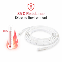 Alarme de fuite d'eau intelligente Tuya étanche, capteur de zone non localisable de type bande mince 12 mm, portée de détection 10-20 m, pour sump de sous-sol