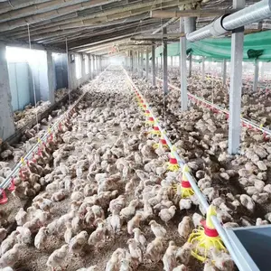 Bom preço de alimentação de galinha que faz a máquina pan ração para aves para frangos de corte de aves