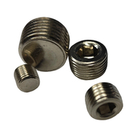 Bouchon de tuyau à douille hexagonale DIN906, bouchon fileté BSP/NPT, bouchon de tuyau à filetage mâle pour système hydraulique/pneumatique