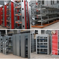 Cages à poulets automatiques de type H SHEEDOZ, galvanisées à chaud, cages en batterie pour volailles, capacité de 5000 à 50000 oiseaux, équipement d'élevage