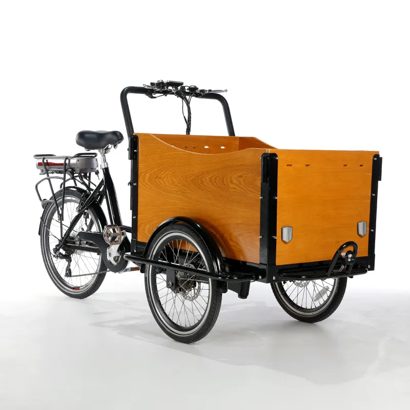 Satılık fabrika fiyat ile çocuklar evcil e-bisiklet elektrikli kargo bisikleti için akıllı trike hollandalı trike