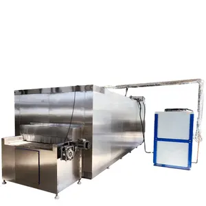 Qiangda Fruits and Vegetables frozen french fries freezing tunnel quick freezing equipment/freezing tunnel