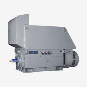 มอเตอร์ AC เทโค 160 กิโลวัตต์ มอเตอร์เทโค มอเตอร์เหนี่ยวนำ 3 เฟส - Product Image 2