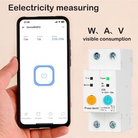 Mini-interrupteur intelligent Wi-Fi en plastique avec protection contre les fuites de tension, contrôle à distance par téléphone mobile, relais temporisé industriel MCB 3kA