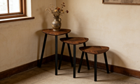 Table à collation, table mobile, table gigogne, table basse, table d'appoint