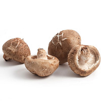Meilleur prix pour l'extrait naturel de champignons de qualité alimentaire, poudre de champignons à 10%-50%
