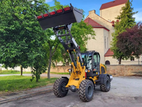 Wolf Loader 2 Ton WL825 Wheel Loader Dijual