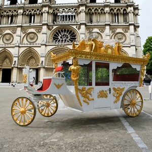 Magnifique sculpture de cheval royal avec calèche à roues dorées, calèches de mariage, chariots et calèches à chevaux - Product Image 3