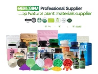 Gummies de kombucha probiotiques en gros pour la santé intestinale des adultes et le soutien digestif, avec extrait de kombucha