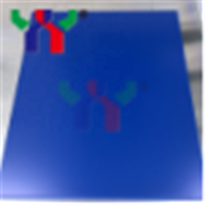 Placa térmica <span class=keywords><strong>CTP</strong></span>, placa de impresión offset, 510*400*0,15mm,100 unids/caja - Product Image 3
