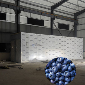 เครื่องอบผลไม้แบบปรับแต่งแหล่งความร้อนได้ เครื่องอบสตรอว์เบอร์รี เครื่องอบบลูเบอร์รี - Product Image 1