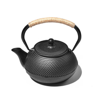 Théière japonaise en fonte noire avec infuseur en acier inoxydable, pots à fleurs en fonte pour le thé d'intérieur