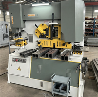 Machine de découpe et de poinçonnage hydraulique multifonctionnelle de précision, machine intégrée de découpe de profilés et de poinçonnage