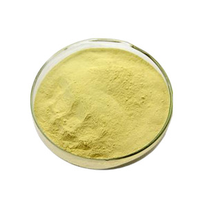 Extracto de Raíz de Kava <span class=keywords><strong>Kavakava</strong></span> al por Mayor, en Polvo, 10% 30% de Kavalactonas - Product Image 1