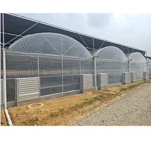Estufa agrícola multi-span com sistema de sombra externa para cultivo de sementes