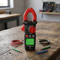 Multimètre à pince numérique certifié CE NF-6301, tension AC/DC, courant, auto-étalonnage, résistance pour la maintenance électrique industrielle