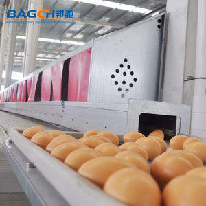 Boîte à œufs automatique pour l'élevage des œufs, plancher pour l'éclosion - Product Image 5