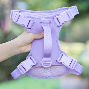 <span class=keywords><strong>Harness</strong></span> Anjing Sport Desainer Baru Warna Kustom, Tali dan <span class=keywords><strong>Harness</strong></span> Anjing Nylon Sederhana Berbahan Jaring Lembut dan Bernapas - Product Image 3