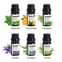 Lots en gros d'huiles essentielles pures et naturelles pressées à froid (lavande, menthe, orange douce, eucalyptus) – Coffrets d'huiles fraîches pour cheveux et peau