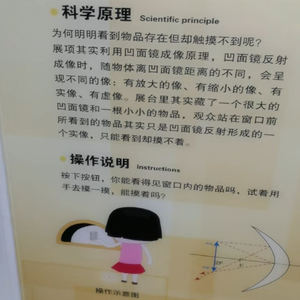 Appuyez sur le bouton pour frapper la coordination de la marmotte Coordination œil-main et effectuer des tests de réaction Jeux - Product Image 5