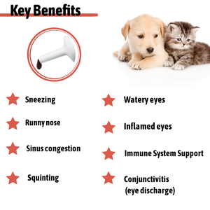 La pâte de gel de L-lysine de Chine pour la vente en gros d'animaux de compagnie fournit un moyen sûr et efficace de stimuler le système immunitaire de l'animal de compagnie - Product Image 3