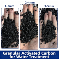 Granulés de charbon actif de coque de noix de coco Valeur d'iode 1000 Certifié ISO 9001 Pureté 99,99% Purification de l'eau Extraction d'or