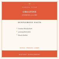 Gummies de créatine monohydrate végétaliennes sans sucre, saveur orange, marque privée ODM/OEM, pour la croissance musculaire et la force chez l'adulte