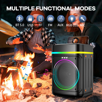 Altavoz Karaoke Portátil de Alta Potencia de 160 W con Bluetooth, Woofer de 10 Pulgadas, Luces RGB para Fiestas, TWS, USB, TF, Control Remoto, Carga Tipo C, Sistema de Cine en Casa
