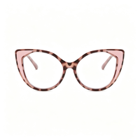 Lunettes anti-lumière bleue rétro SM5216, monture PC unisexe avec accents métalliques dorés