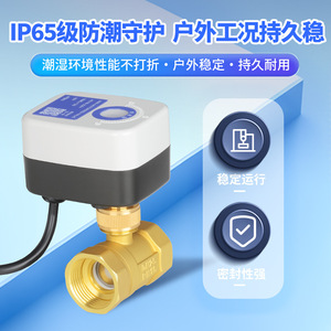 Vanne à boisseau sphérique miniature bidirectionnelle Yueer 1/2 po filetée pour le contrôle de l'eau avec fenêtre de positionnement pour fonctionnement 220V 24V - Product Image 5