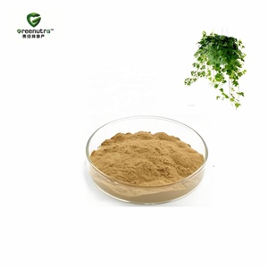 Extracto de Hoja de <span class=keywords><strong>Hiedra</strong></span> con Certificación Halal, Extracto Natural de Planta de Hoja de <span class=keywords><strong>Hiedra</strong></span>, Extracto de Hedera Helix y Extracto de Hedera Helix 10:1 para Bienestar - Product Image 1