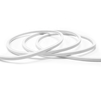 Solution d'éclairage au néon LED sur mesure, bande néon flexible découpée avec précision pour les projets architecturaux et commerciaux de luxe