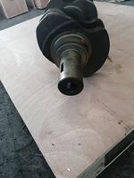 Vilebrequin diesel forgé et moulé pour Mercedes Benz OM356 OM366 LK LN2 3660301602 030 16 02, 1 pièce, pièces automobiles 366