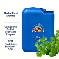 Extrait de Centella Asiatica fermenté de qualité alimentaire en fût de 25 kg pour ingrédients de soins de la peau