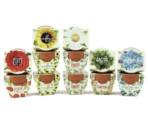 Mini Macetas <span class=keywords><strong>de</strong></span> Terracota para Semillas, Kit Completo para Iniciar Cultivos, Regalo para Jardinería Interior y Exterior, Recuerdos <span class=keywords><strong>de</strong></span> Boda, Día <span class=keywords><strong>de</strong></span> la Madre - Product Image 1