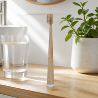 Brosse à dents en bois jetable à poils souples, taille standard, pour usage hôtelier au Zhejiang, manuelle, à touffes de forme spéciale