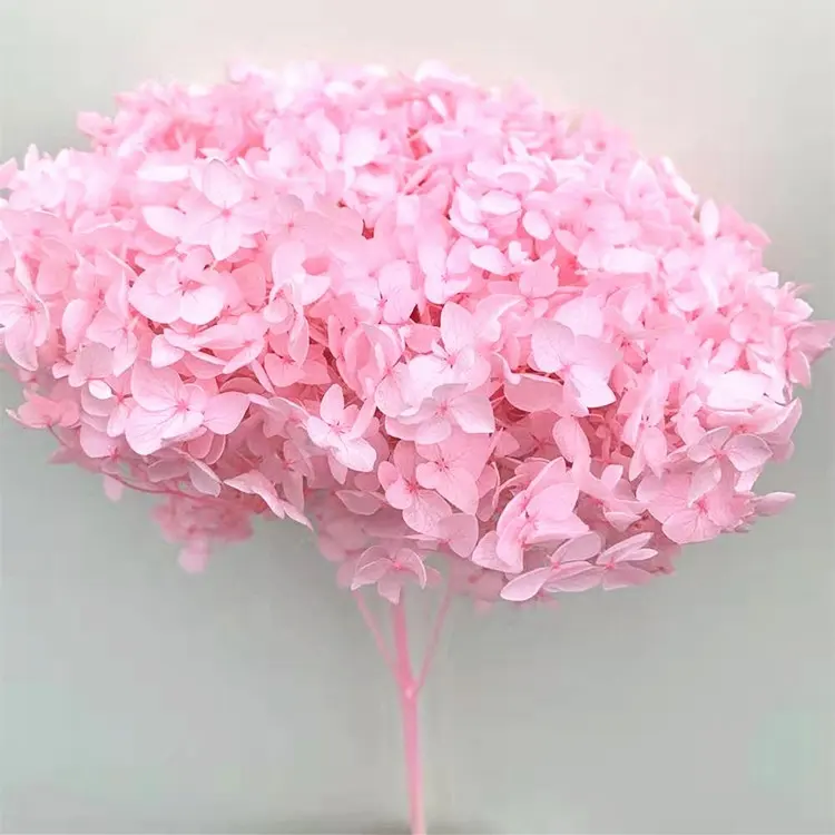 Groothandel Hoge Kwaliteit Bewaard Bloem Roze Kleur Kleine Bladeren Anna Bewaarde Hortensia Met Enkele Lange Stem