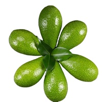 Focus Excellence Additif alimentaire liquide naturel concentré pour mayonnaise à l'avocat, saveur avocat frais