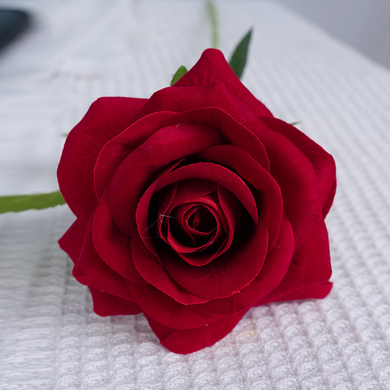 Fendara rose rouge