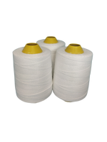 Fil à coudre de haute qualité 100% polyester résistant à l'abrasion pour le crochet, le point de croix, les sacs et les projets vestimentaires