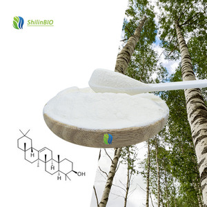 Poudre de Betuline de Haute Qualité SLBIO 98% CAS 473-98-3 Extrait de Cendres de Bouleau en Poudre - Product Image 3