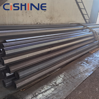 Poste de Luz Solar Galvanizado Curvo Octagonal Cónico Redondo de 8m de Altura y 12m para Exteriores con Brazo, Poste de Farola para la Venta