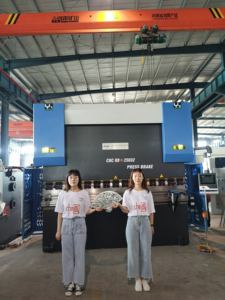 Máquina de dobra de freio de imprensa hidráulica, cnc 250t com controlador da53t - Product Image 4