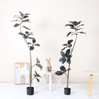 Plante Artificielle en Caoutchouc Noir King Kong pour Décoration de Jardin, Bureau et Maison